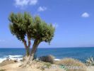 Kreta Foto’s - Kreta - Griekenland