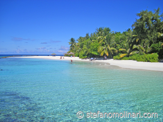 Chaaya Reef Ellaidhoo foto‘s - Ellaidhoo - Maldiven