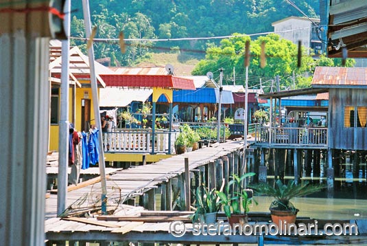 Borneo Sabah Foto - Borneo Sabah - Maleisië